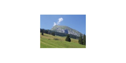 Reisemobilstellplatz - Umgebungsschwerpunkt: am Land - Schweiz - Wiriehornbahnen AG - Diemtigtal