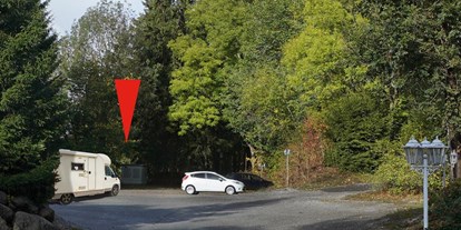 Motorhome parking space - Art des Stellplatz: eigenständiger Stellplatz - Sachsen-Anhalt Süd - Unser Stellplatz im grünen - Mandelholz - zwischen Königshütte und Elend