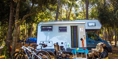 Reisemobilstellplatz - Wohnwagen erlaubt - Campingplatz Arena Indije **