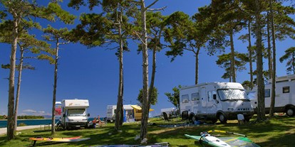 Motorhome parking space - Bademöglichkeit für Hunde - Istria - Campingplatz Arena Medulin **