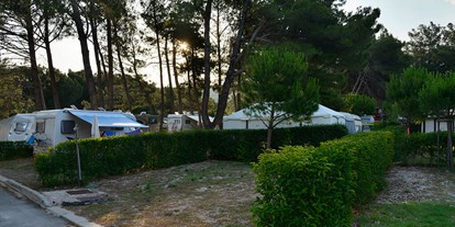 Motorhome parking space - WLAN: am ganzen Platz vorhanden - Istria - Campingplatz Pila ***