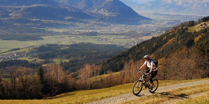 Reisemobilstellplatz - Vorarlberg - lieber mit dem Bike? - Stellplatz Düns