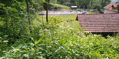 Reisemobilstellplatz - Umgebungsschwerpunkt: am Land - Freyung - Spiel- und Liegewiese, dahinter die Cocart-Bahn - Natur-Stellplatz auf Bio-Bauernhof + Kinderparadies