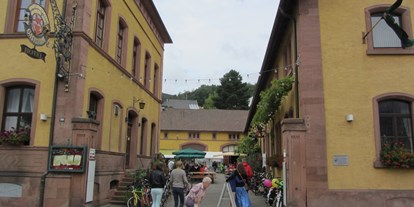 Reisemobilstellplatz - Umgebungsschwerpunkt: Stadt - Billigheim-Ingenheim - Hambacher Schloss-Kellerei