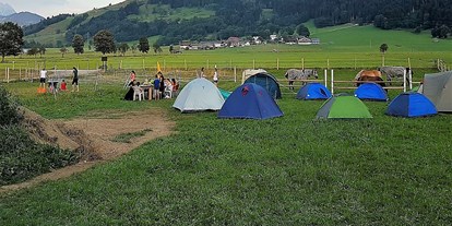 Reisemobilstellplatz - Art des Stellplatz: eigenständiger Stellplatz - Pinzgau - Camping am Eggerhof - Eggerhof Saalfelden