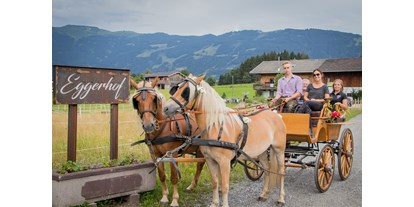 Reisemobilstellplatz - Umgebungsschwerpunkt: Berg - Österreich - Kutschen fahren am Eggerhof - Eggerhof Saalfelden
