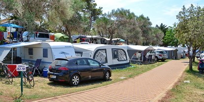 Motorhome parking space - Hunde erlaubt: Hunde erlaubt - Zadar - Šibenik - Padova Premium Camping Resort ****