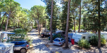 Motorhome parking space - Umgebungsschwerpunkt: Stadt - Zadar - Šibenik - Zaton Holiday Resort ****