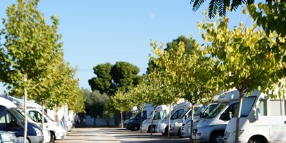 Motorhome parking space - Hunde erlaubt: Hunde erlaubt - Costa del Azahar - Valencia Camper Park SL