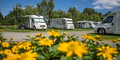 Reisemobilstellplatz - Stromanschluss - Spreewald Caravan- und Wohnmobilpark "Dammstrasse" - Spreewald Caravan- und Wohnmobilpark "Dammstrasse"