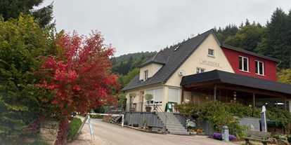 Reisemobilstellplatz - Wohnwagen erlaubt - Rosport - Camping Waldfrieden