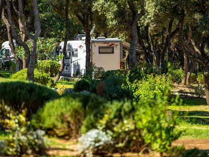 Motorhome parking space - SUP Möglichkeit - Dalmatia - Die Parzellen sind nach den Höchststandards der ADAC ausgestattet und erfüllen jede Voraussetzung für ein modernes Camping. - Camping Strasko ****