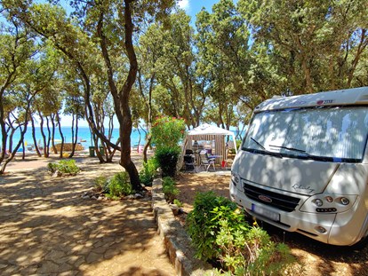 Motorhome parking space - Duschen - Dalmatia - Die Parzellen sind auf drei Zonen verteilt und haben eine Fläche bis zu 140 m2.  - Camping Strasko ****