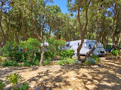 Motorhome parking space - SUP Möglichkeit - Dalmatia - Jede Parzelle hat Strom-, Wasser, Abwasser-und SAT-TV-Anschluss. - Camping Strasko ****