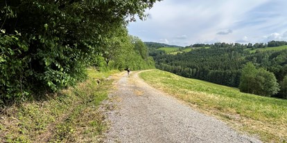 Reisemobilstellplatz - Umgebungsschwerpunkt: am Land - Obernzell - Natur pur Bayerwald