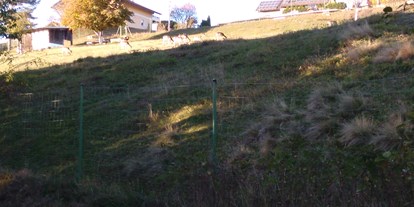 Motorhome parking space - Umgebungsschwerpunkt: am Land - Vilshofen - Damwildgehege - Natur pur Bayerwald