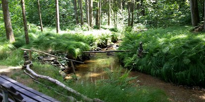Reisemobilstellplatz - Umgebungsschwerpunkt: am Land - Freyung - Kneippanlage  - Natur pur Bayerwald