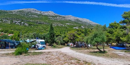 Motorhome parking space - Split - Dubrovnik - Campingplatz Perna****