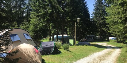 Motorhome parking space - WLAN: am ganzen Platz vorhanden - Carinthia - Camping Hebalm