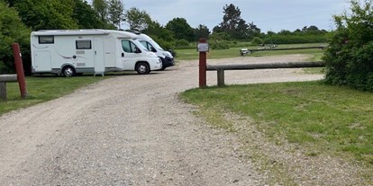 Reisemobilstellplatz - Hunde erlaubt: Hunde erlaubt - Vejle - Rosenvold Strand Camping