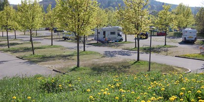 Motorhome parking space - Reiten - Bavaria - Wohnmobilstellplatz an der Schiffsanlegestelle