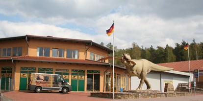 Motorhome parking space - Steinhuder Meer - Der Dinosaurierpark Münchehagen bietet ein Freizeitvergnügen für die ganze Familie und ist nur 6 km entfernt. - Stellplatz Rehburg-Loccum "Am Meerbach"