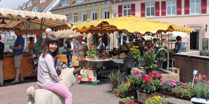 Reisemobilstellplatz - Preis - Wolfach - Jeden Freitag ist Wochenmarkt in der Innenstadt - Wohnmobilstellplatz Ettenheim