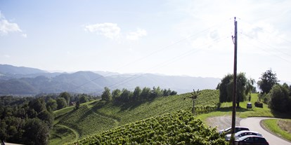 Reisemobilstellplatz - Österreich - Aussicht und Sicht auf den Stellplatz - Stellplätze - Weingut Grill
