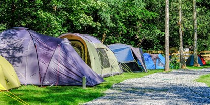 Reisemobilstellplatz - Hunde erlaubt: keine Hunde - Deutschland - Bilz-Campingplatz Radebeul