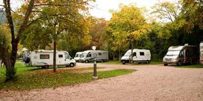 Motorhome parking space - Umgebungsschwerpunkt: Fluss - Rhineland-Palatinate - Reisemobilstellplatz im Salinental