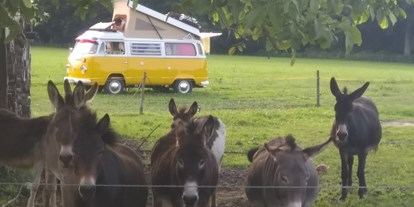 Reisemobilstellplatz - Wohnwagen erlaubt - Oberaudorf - Neben der Eselweide stehen.... - Naturlandhof Daxlberg