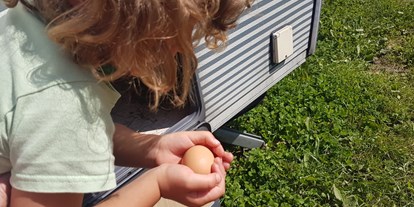 Reisemobilstellplatz - Spielplatz - Aschau im Chiemgau - Wenn das Huhn das Ei direkt am Wohnwagen legt - ein besonderes Ereignis! - Naturlandhof Daxlberg