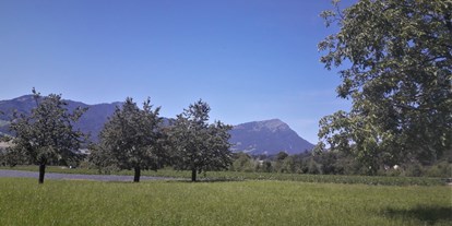 Reisemobilstellplatz - Umgebungsschwerpunkt: am Land - Morschach - Ausblick direkt vom Stellplatz auf die Rigi, Königin der Berge (Richtung Westen)  - Vogelmatt Steinen