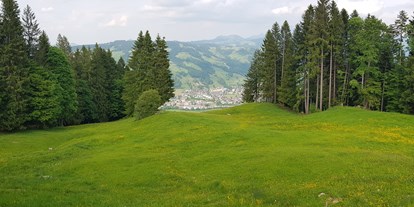Reisemobilstellplatz - Umgebungsschwerpunkt: Berg - St. Gallen - UNSERE AUSSICHT  - Girlen Ebnat-Kappel