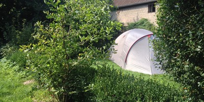 Reisemobilstellplatz - Sachsen-Anhalt - Ein Zelt zwischen Sträuchern. - Naturhof Camping