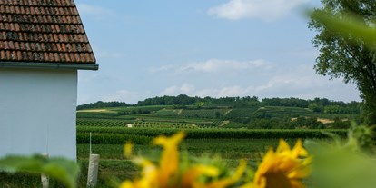 Reisemobilstellplatz - Umgebungsschwerpunkt: am Land - Niederösterreich - Die Weinberge laden zum Spazieren und Entdecken ein - Winzerhof Mantler