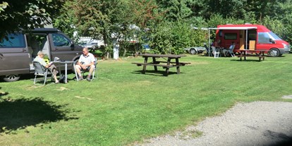 Motorhome parking space - Bergstraße-Odenwald - Gepflegte Rasenplätze mit Schatten - Nibelungen Camping am Schwimmbad