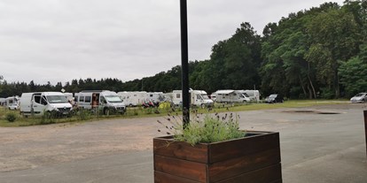 Motorhome parking space - Lower Saxony - Auecamp