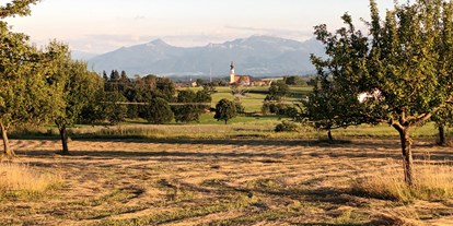 Reisemobilstellplatz - Umgebungsschwerpunkt: am Land - Oberbayern - Heuernte für die Schafe und Hasen - Familienfreundlicher Stellplatz mit Panorama-Bergblick 