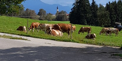 Reisemobilstellplatz - Art des Stellplatz: am Bauernhof - Aschau im Chiemgau - ... und Ruhe - Familienfreundlicher Stellplatz mit Panorama-Bergblick 