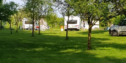 Reisemobilstellplatz - Hunde erlaubt: Hunde teilweise - Stadland - Stellplatz zwischen Obstbäumen - IQBAL Wohnmobilstell- & Campingplatz mit Flair