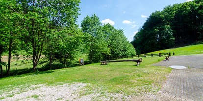 Reisemobilstellplatz - Stromanschluss - Stellplätze Am Melbeckebach - Naturcampingstellplätze auf dem Ferienhof Verse im Sauerland.