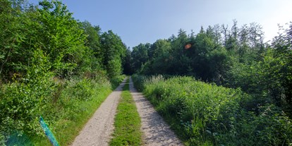 Reisemobilstellplatz - Umgebungsschwerpunkt: am Land - Herrliche Wander und Fahrradwege - Naturcampingstellplätze auf dem Ferienhof Verse im Sauerland.