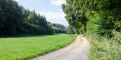 Reisemobilstellplatz - Umgebungsschwerpunkt: am Land - Herrliche Wander und Fahrradwege - Naturcampingstellplätze auf dem Ferienhof Verse im Sauerland.
