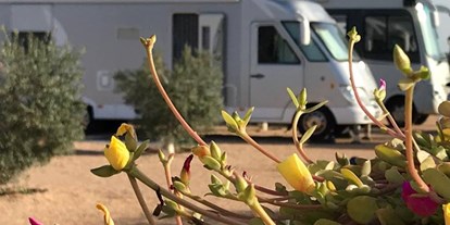 Reisemobilstellplatz - Wohnwagen erlaubt - Los Olivos Camper Park