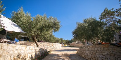 Reisemobilstellplatz - Dalmatien - Kaskadenstellplätze, die mehr Privatsphäre für Gäste mit viel Schatten bieten. - Kamp Kanić