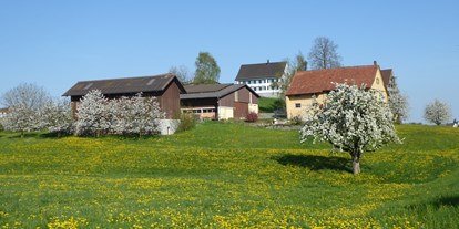 Reisemobilstellplatz - Ganterschwil - Eggerhof im Frühling - Eggerhof