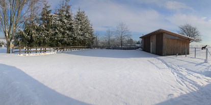 Reisemobilstellplatz - Umgebungsschwerpunkt: am Land - Mittweida - Platz im Winter - Alpakas am Nonnenwald