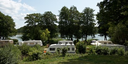 Reisemobilstellplatz - Hunde erlaubt: Hunde erlaubt - Müritz - Genuss Ferien, Natur und Strandcamping am Jabelschen See