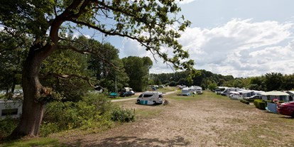 Reisemobilstellplatz - Wohnwagen erlaubt - Lärz - Genuss Ferien, Natur und Strandcamping am Jabelschen See